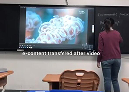 板书教学记忆日韩水蜜桃视频在线课堂实用操作